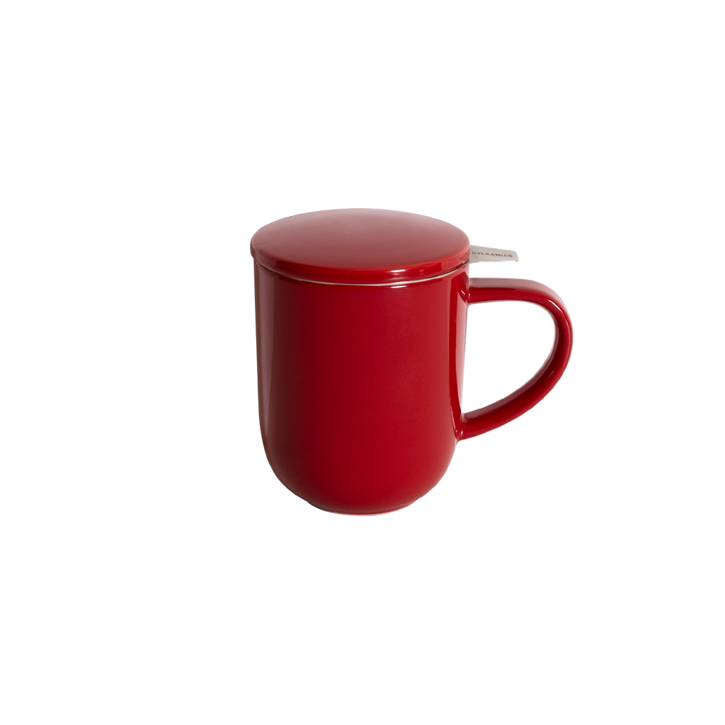 300ml Mug with Infuser & Lid